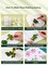 Eco Printing & Flower Pounding Kit – Natural DIY Art Set for Creating Handbags, Clothing, Home Décor, and Fabric Crafts. A Fun and Creative Activity for Parents and Children to Enjoy Together.